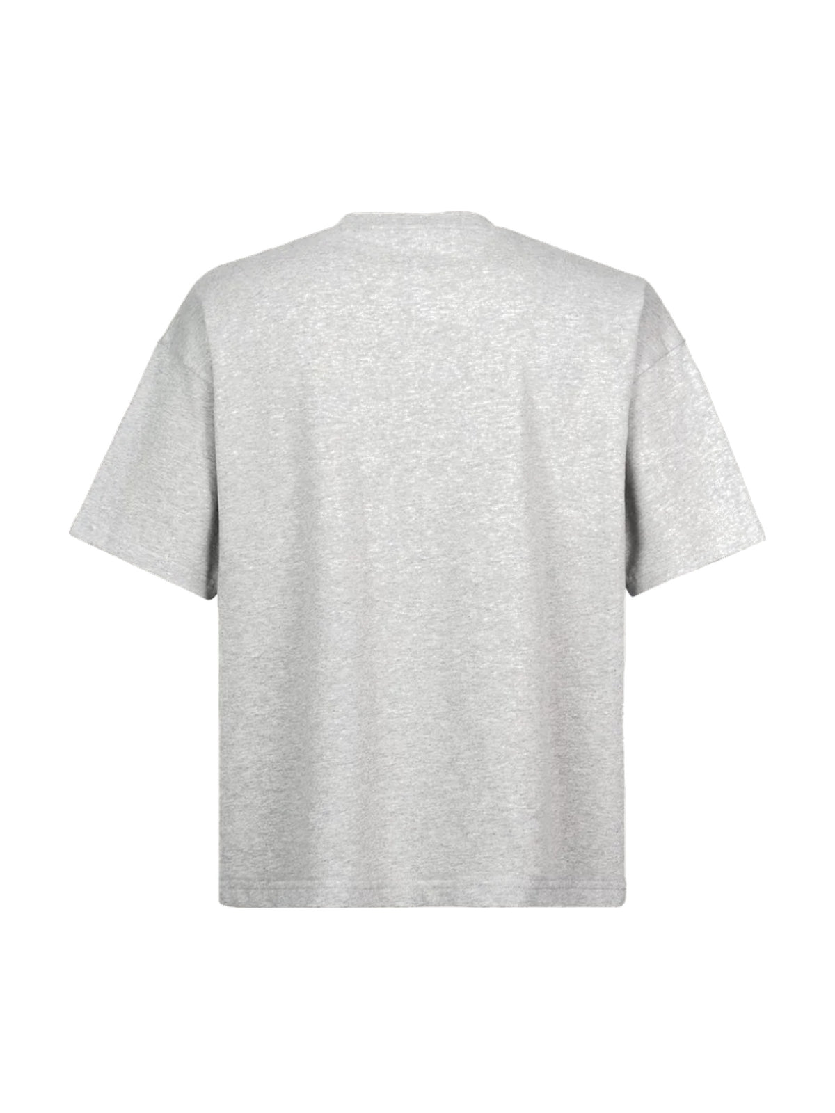 FOGGY NNJL BOXY T-SHIRT GREY